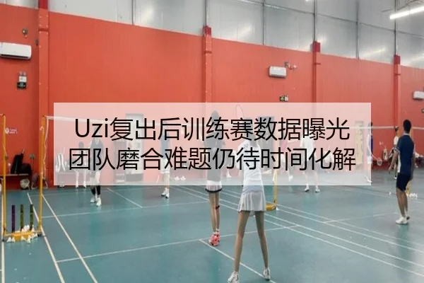 Uzi复出后训练赛数据曝光 团队磨合难题仍待时间化解